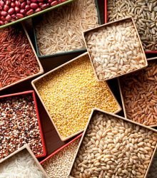 Varieties of grains seeds and beans.