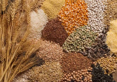 top-10-agricultural-products-exported-from-india